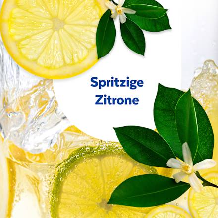 Küchenreiniger 2in1 Reinigung & Desinfektion Sagrotan