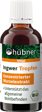 Ingwer Tropfen hübner