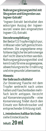 Ingwer Tropfen hübner