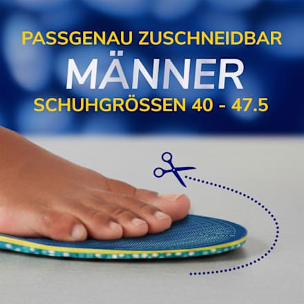 Einlegesohlen 24 Hour Energy L (1 Paar) Scholl