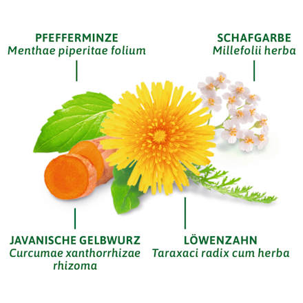 Arzneitee, Leber- & Galle Tee (12 Beutel) Bad Heilbrunner
