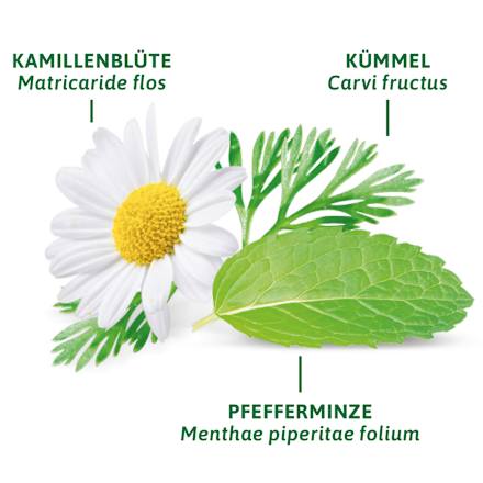 Arzneitee, Magen- & Darm Tee (12 Beutel) Bad Heilbrunner