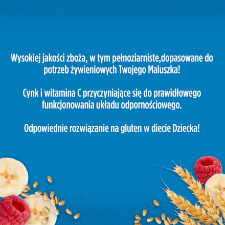 Kaszka owsiana mleczna banan, malina, po 6. miesiącu  Gerber