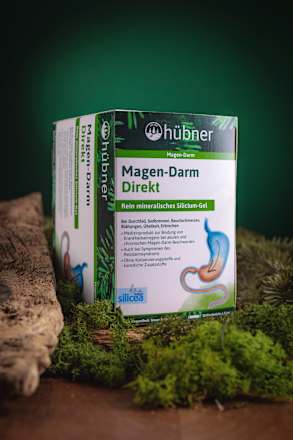 Magen-Darm Direktsticks 15 St hübner