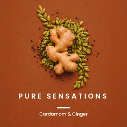 Duschgel Pure Sensations 3in1 MODULE