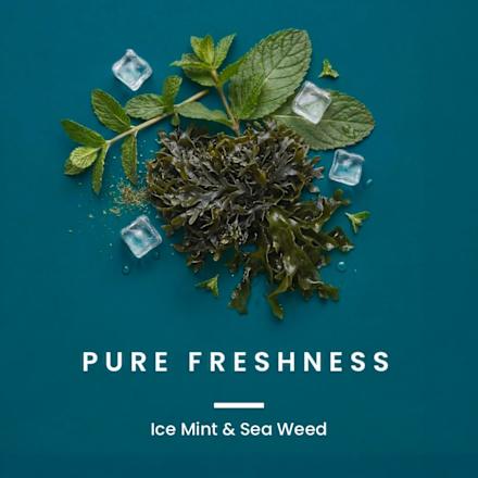 Duschgel Pure Freshness 3in1 MODULE