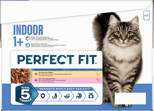 Nassfutter Katze mit Huhn & Lachs, Indoor Multipack (12x85 g) PERFECT FIT