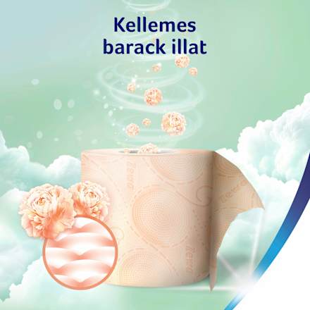 Toalettpapír Deluxe Cashmere Peach  16 tekercs 3 rétegű ZEWA