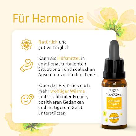 Murnauers Bachblüten Original Tropfen MURNAUERS