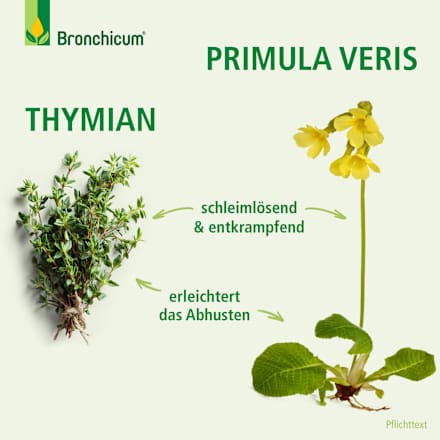 Bronchicum Elixir Bronchicum