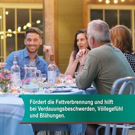 Hepar-SL 640 mg Artischockenblätter-Trockenextrakt  Filmtabletten Hepar-SL