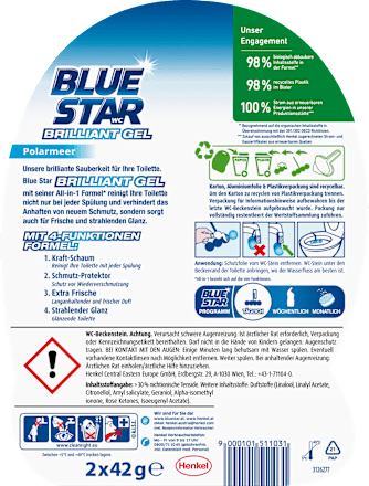 WC-Stein Brilliant Gel All In 1 Polarmeer BLUE STAR