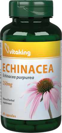 Echinacea kapszula Vitaking
