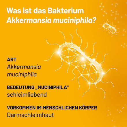 PROBIO-CULT AKK1 Tabletten PROBIO-CULT