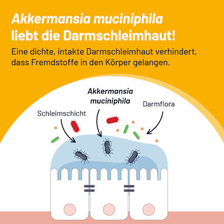 PROBIO-CULT AKK1 Tabletten PROBIO-CULT