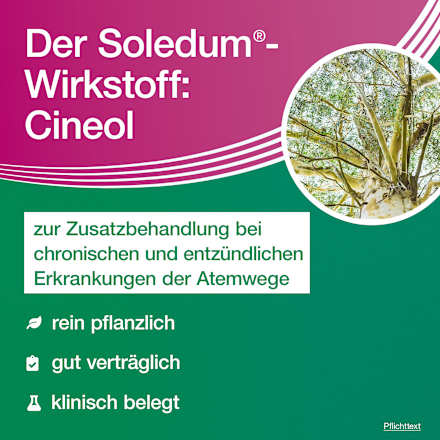 Soledum addicur 200 mg Cineol magensaftresistente Weichkapseln Soledum
