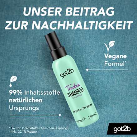 Trockenshampoo Liquid to Dry got2b