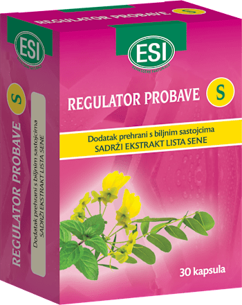 Regulator probave S ESI