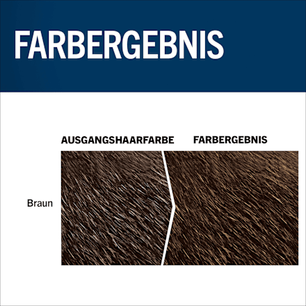 Tönung Bart 60 Natur Braun, 1 St Schwarzkopf Men Perfect