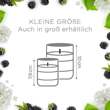 Duftkerze im Glas Brombeere & Holunderblüte (2x105 g) AIR WICK