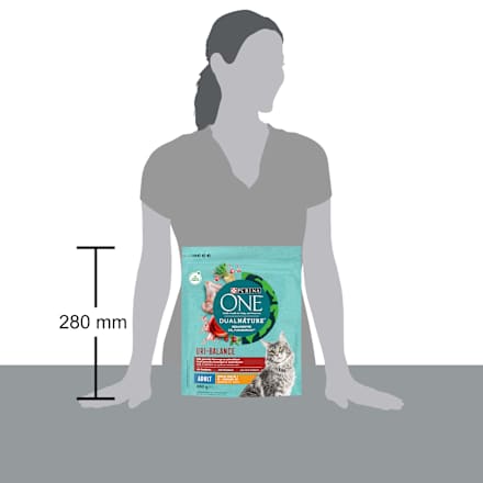 Trockenfutter Katze mit Huhn & Cranberry, dual nature uri balance PURINA ONE