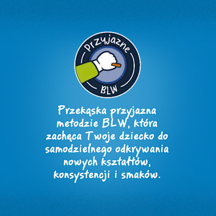Ciasteczka pszenne maślane, od 12 miesiąca  Gerber