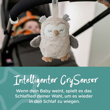 Einschlafhilfe Ollie die Eule Tommee Tippee