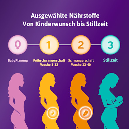 Femibion 2 Schwangerschaft, 112 Tabletten und 112 Kapseln  femibion