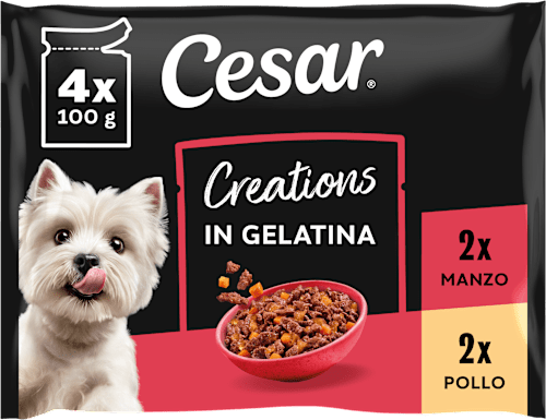Selezione in gelatina cibo umido per cani adulti Cesar