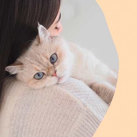 Katzenleckerli Nutri Vitamin Bites GimCat