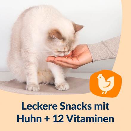 Katzenleckerli Nutri Vitamin Bites GimCat