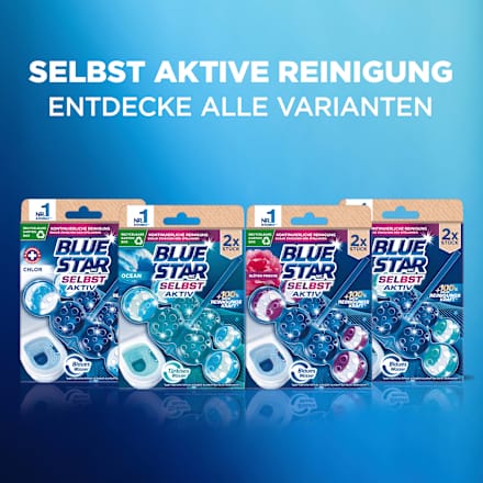 WC-Stein Selbst Aktiv Chlor BLUE STAR