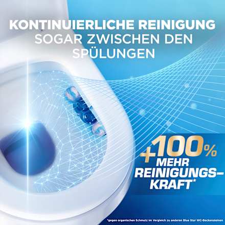 WC-Stein Selbst Aktiv Chlor BLUE STAR