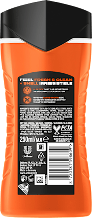 Duschgel Sunset Fresh  AXE