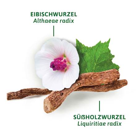 Arzneitee, Hustenreizstiller Tee (12 Beutel) Bad Heilbrunner