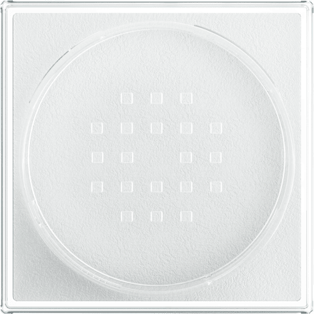 Loses Puder Fit Me Loose Setting 01 Translucent MAYBELLINE NEW YORK