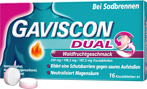 GAVISCON Dual Waldfrucht 250 mg, 106,5 mg, 187,5 mg Kautabletten GAVISCON