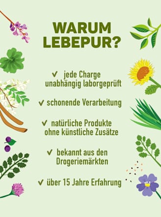 Ube Lila Yamswurzel Pulver Lebepur