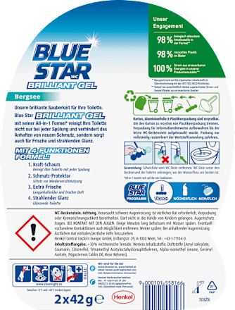 WC-Stein Brilliant Gel All In 1 Bergsee BLUE STAR