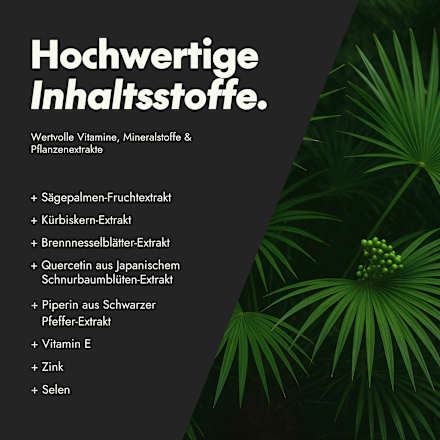 Active Men Prosta Formula Kapseln 60 St serotalin