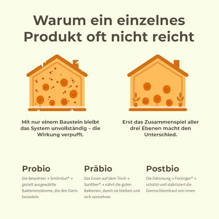 Pulver Darm Komplex 3 in 1 Beerengeschmack BitterLiebe