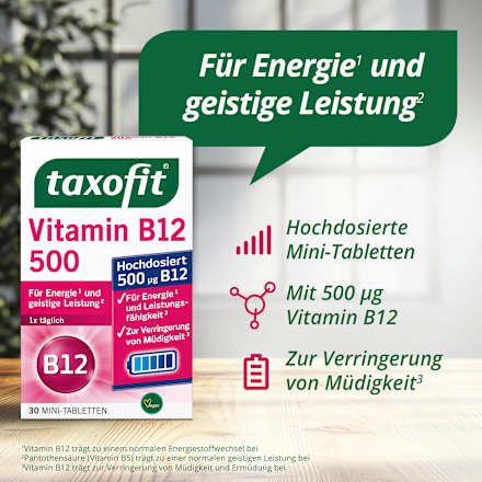 Vitamin B12 500 Mini Tabletten 30 St taxofit
