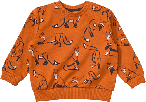 Sweatshirt mit Fuchs-Muster, braun, Gr. 80 ALANA