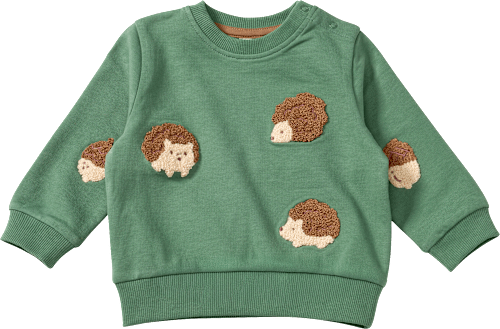 Sweatshirt mit Igel-Muster, grün, Gr. 74 ALANA
