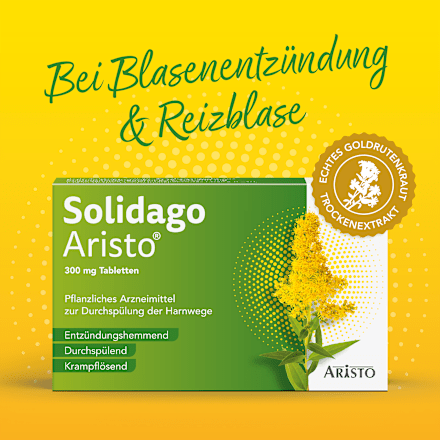 Solidago Aristo 300 mg Goldrutenkraut Trockenextrakt Tabletten ARISTO