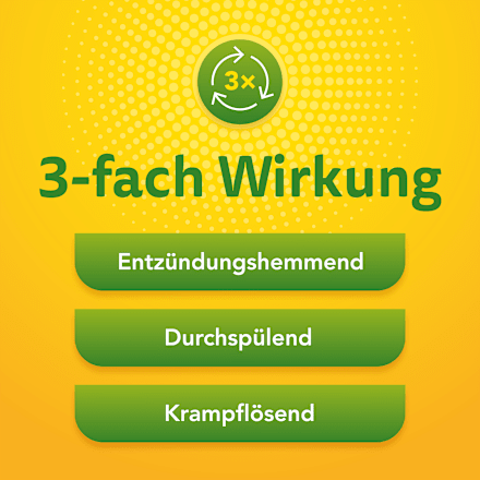 Solidago Aristo 300 mg Goldrutenkraut Trockenextrakt Tabletten ARISTO