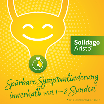 Solidago Aristo 300 mg Goldrutenkraut Trockenextrakt Tabletten ARISTO
