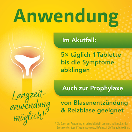 Solidago Aristo 300 mg Goldrutenkraut Trockenextrakt Tabletten ARISTO
