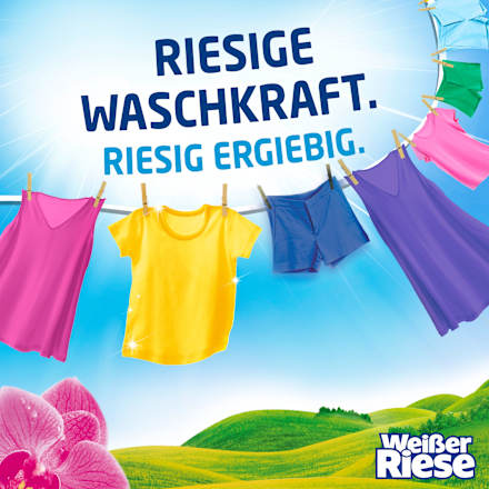 Colorwaschmittel Caps Trio Aromatherapie Good Mood Orchidee Weißer Riese