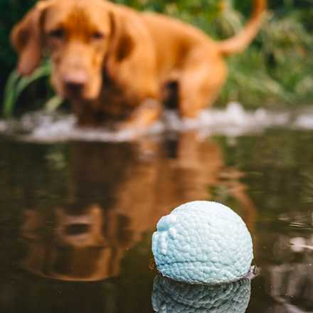 Hračka pre psy AirBall loptička s hrotmi - biela s farebnými škvrnami THE EXPLORER DOG